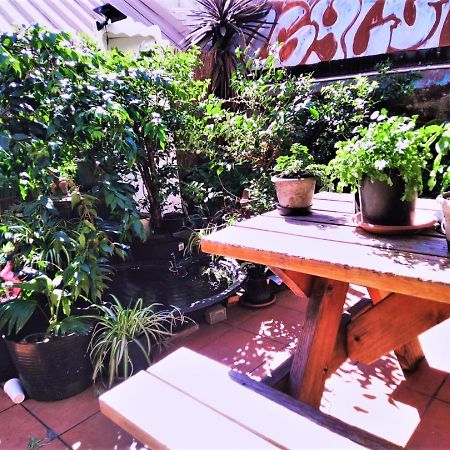 Asylum Sydney Backpackers Hostel Exteriör bild
