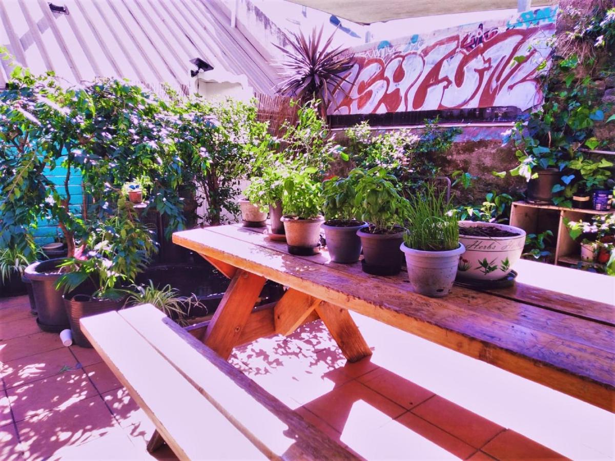 Asylum Sydney Backpackers Hostel Exteriör bild