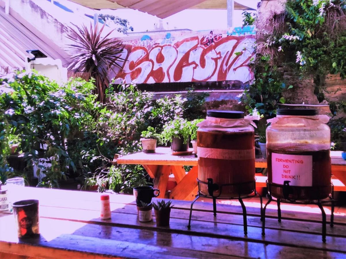 Asylum Sydney Backpackers Hostel Exteriör bild